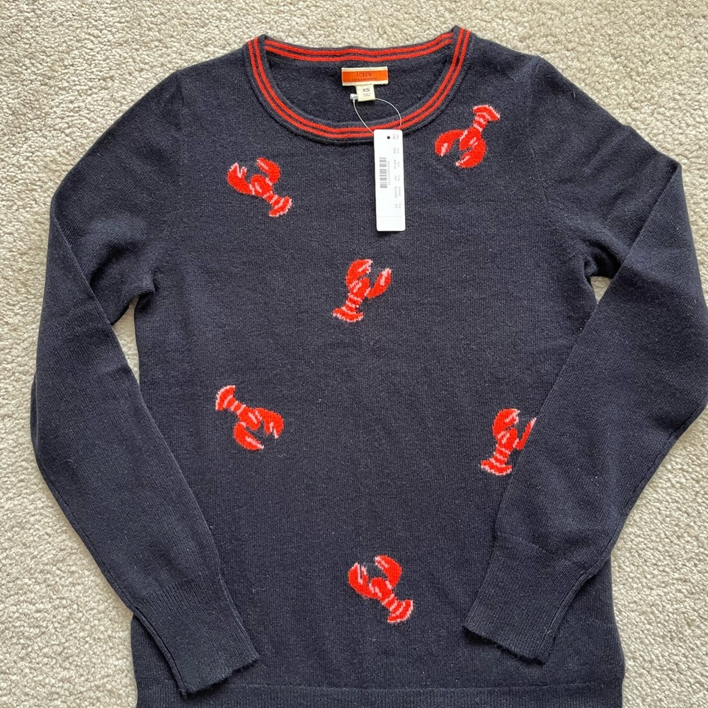 NWT J Crew 100% Cashmere Sweater, Sz XS